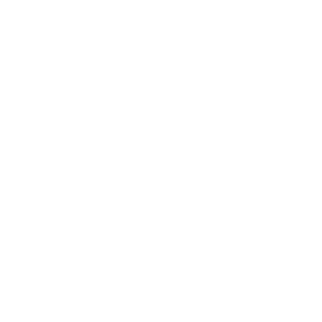 logo1